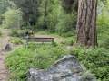 IMG_20190617_075519